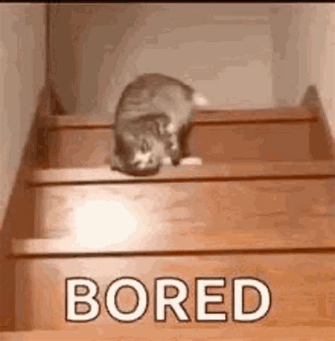 bored gifs funny|anime bored gif.